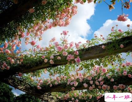 2021一月再见二月你好唯美励志说说 告别一月迎接二月的唯美励志说说2