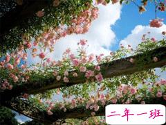 2021一月再见二月你好唯美励志说说 告别一月迎接二月的唯美励志说说