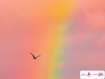 朋友圈最惊艳的短句合集 不念过往不畏将来1