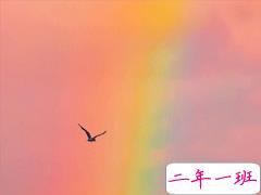 朋友圈最惊艳的短句合集 不念过往不畏将来