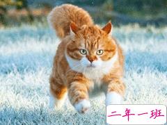 让自己很清醒的说说 很经典的透彻句子