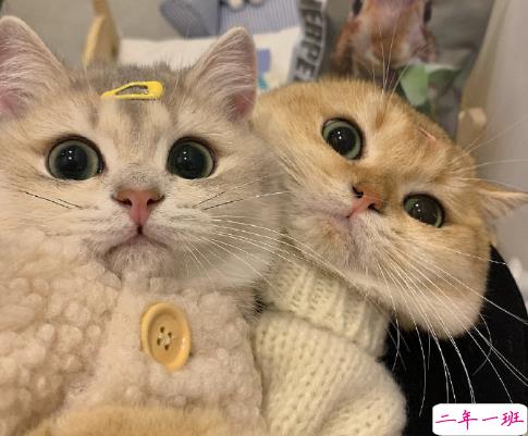 在生活中学会的一些事 很精辟的生活感悟语录1