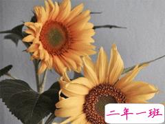 最暖心的早安句子 早安心语经典语录简短