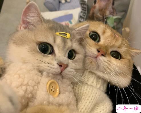 在生活中学会的一些事 很精辟的生活感悟语录2