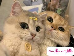 在生活中学会的一些事 很精辟的生活感悟语录