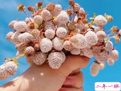 人生感悟简短经典句子配图 决定你命运的是自己2