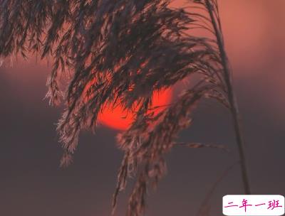 人生感悟简短经典句子配图 决定你命运的是自己7