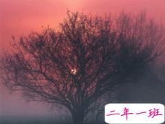 人生感悟简短经典句子配图 决定你命运的是自己