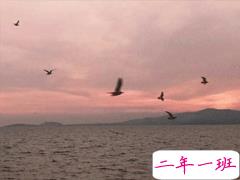 经典晚安心语致自己 简短经典语录晚安说说