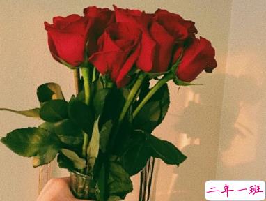 最新抖音热评文案  第一次读到就震撼的句子2