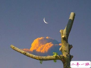 能够激励你减肥的励志文案 嘴上享受一时身上肥肉一世2