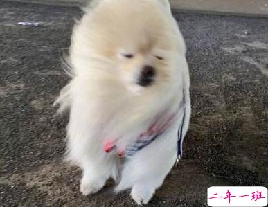 刮大风天气的心情说说 冬天刮大风说说大全20191