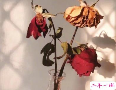 31条一句话经典语录2020最新 很有内涵的经典说说2