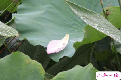 立秋励志的句子正能量爆棚 希望熬过一切星光璀璨2