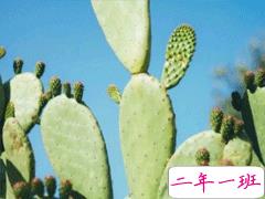 31条一句话经典语录2020最新 很有内涵的经典说说