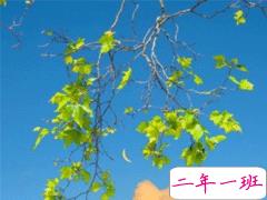 打鸡血正能量满满的句子 让人充满力量的经典语录