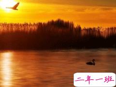 那些感动人温暖人的句子合集 十分经典且暖心的话