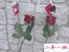 微博一句话经典语录合集 朋友圈必火的经典句子