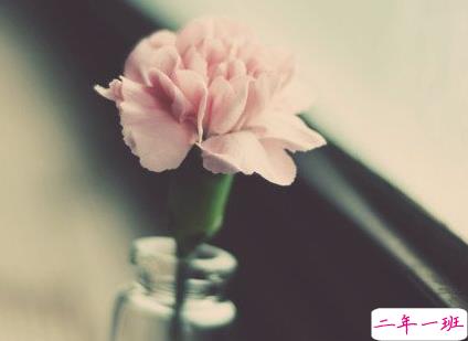 520朋友圈经典语录 520情人节爱情说说大全20191