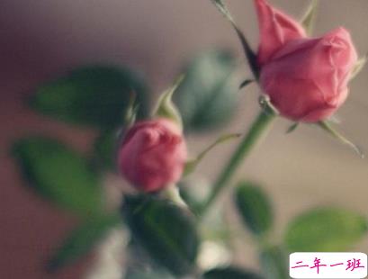 520朋友圈经典语录 520情人节爱情说说大全20192