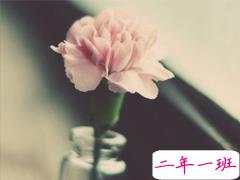 520朋友圈经典语录 520情人节爱情说说大全2019