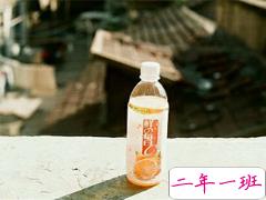 2019毕业季语录经典大全 青春不言败