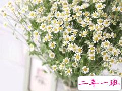 五月全新励志说说2020 5月你好阳光充满力量的句子