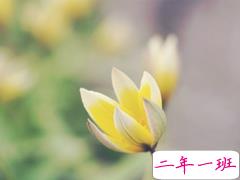 2019二月再见三月你好说说经典励志 三月你好微信早安句子