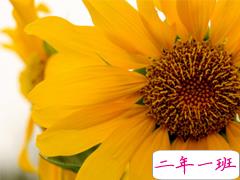 2019经典语录人生感悟 靠天靠地还要靠自己