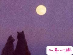 经典励志内涵说说大全 幸运的人从来不是我所以要努力