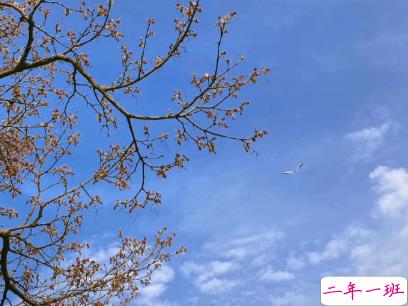 2020年励志的句子写给自己 让人感悟很深的励志句子1