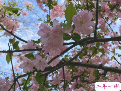 2020年励志的句子写给自己 让人感悟很深的励志句子2