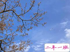 2020年励志的句子写给自己 让人感悟很深的励志句子