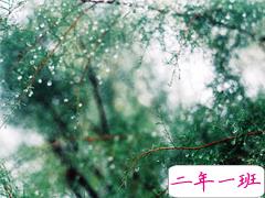 感悟很深的经典句子大全 人生最深刻的道理句句穿心