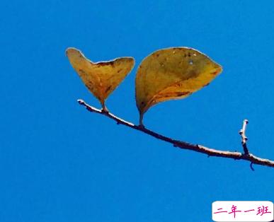 早安心语内涵励志 隐藏野心悄悄发光1