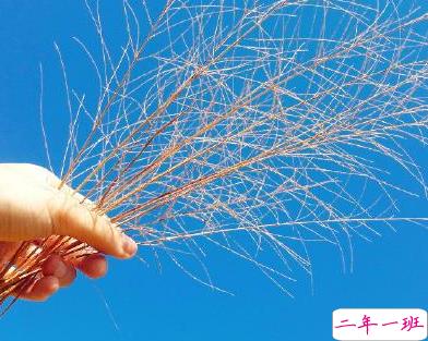 早安心语内涵励志 隐藏野心悄悄发光2