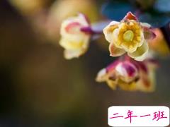 2019送给自己的一句话励志 新的开始送给自己的一句话简短