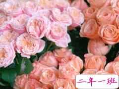 四月励志短句致自己 2020四月加油朋友圈说说