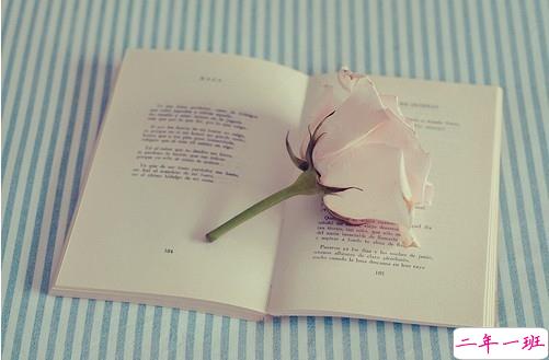 国内国外很经典的电影台词经典语录 关于人生爱情的精辟电影台词2