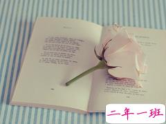 国内国外很经典的电影台词经典语录 关于人生爱情的精辟电影台词