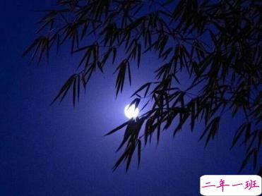 努力奋斗的句子 致拼搏路上的自己1