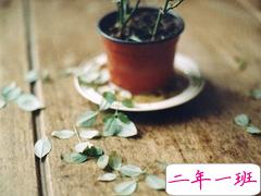 安意如经典语录关于人生和爱情的句子 文字控大爱的文艺安意如语录