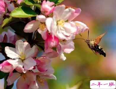 2020三月加油说说大全 三月一起加油奋斗的句子1