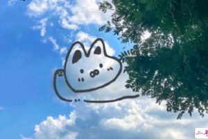 2020致自己的说说简短 充满正能量的阳光句子