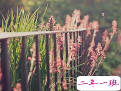 情感治愈系经典语录大全 能融化你心的简短经典说说