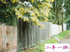 2019最新经典语录太经典了霸气 正能量的朋友圈经典语录