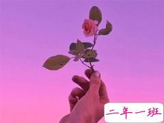 努力奋斗励志句子 30句正能量奋斗说说