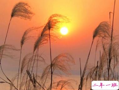 阳光治愈短句很温暖 抖音治愈系文字20202