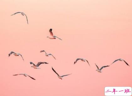 励志说说致自己2020最新 一句话激励自己努力奋斗2