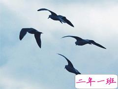 很励志的朋友圈晚安句子 生命匆匆请善待自己